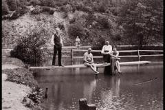 waldsee_1_g