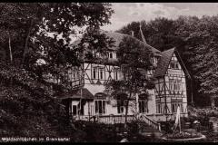 waldschloss_1_g